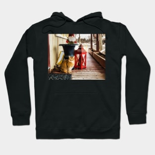 Country Store Cat 3 Hoodie